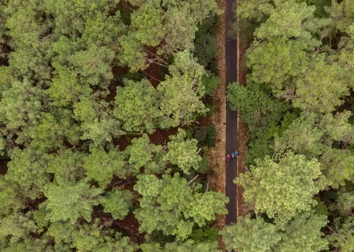 Lacanau, 6 Personnes, A Cote Du Lac, Sous Les Pins Au Calme Лакано