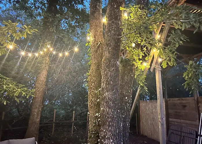 Дом отдыха Lacanau, 6 Personnes, A Cote Du Lac, Sous Les Pins Au Calme *